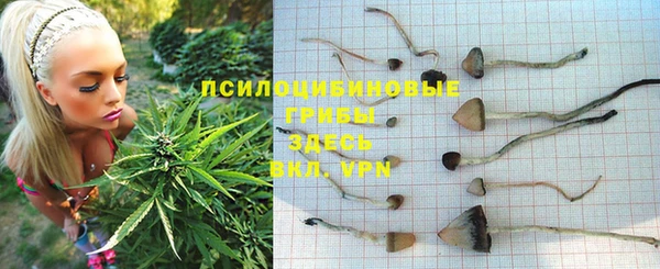 прущий лед Абаза