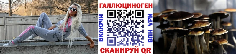 купить   Магадан  Галлюциногенные грибы MAGIC MUSHROOMS 