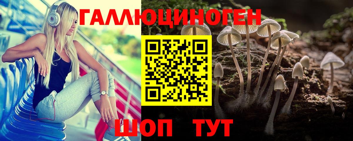 Галлюциногенные грибы Psilocybine cubensis  Вход с VPN  Магадан  Псилоцибиновые грибы MAGIC MUSHROOMS 
