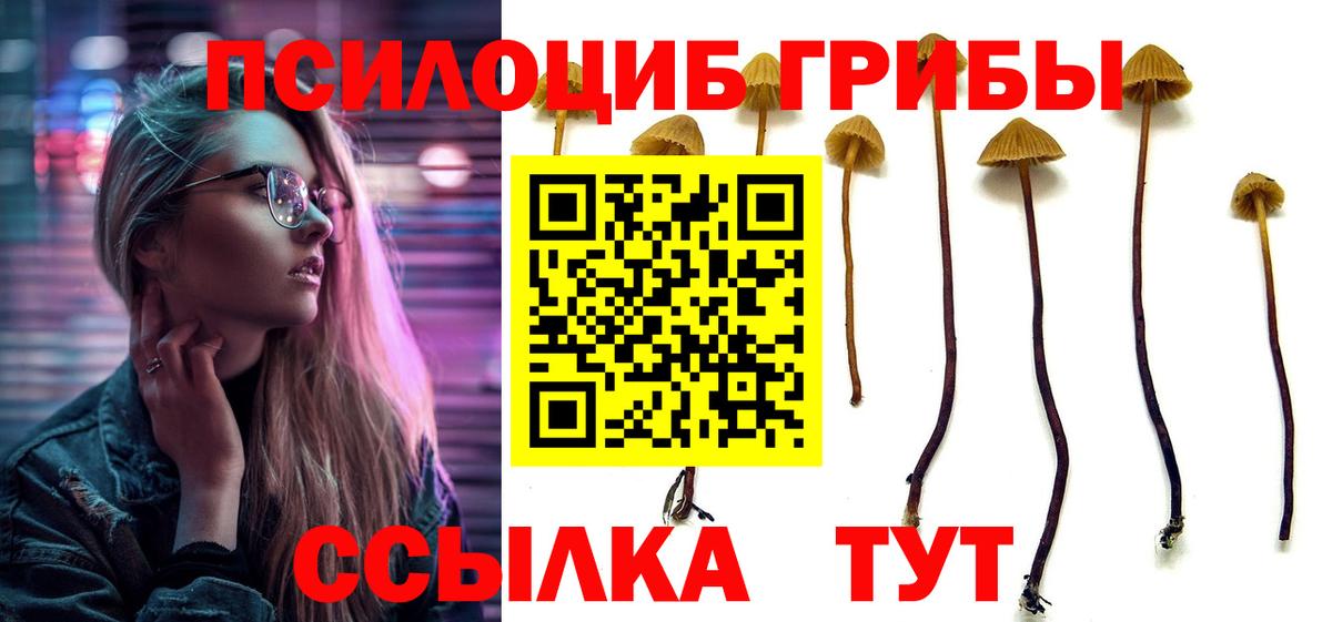 Галлюциногенные грибы Cubensis Магадан