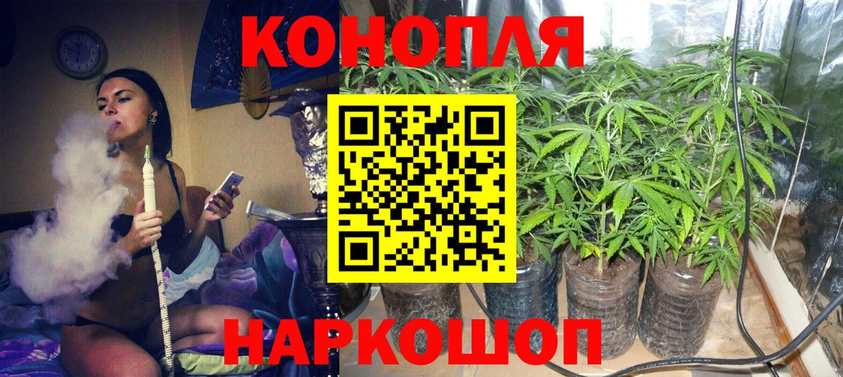 Шишки марихуана THC 21%  Бошки Шишки Amnesia  Конопля OG Kush  Вход с VPN  Магадан 